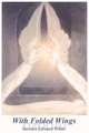 With Folded Wings, Stewart Edward White 