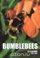 Bumble Bees, D. V. Alford 