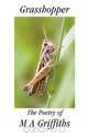 Grasshopper, Margaret Ann Griffiths 