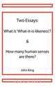 Two Essays, John King 