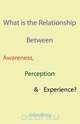 What is the Relationship Between Awareness, Perception & Experience?, John King 