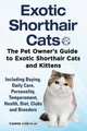 Exotic Shorthair Cats The Pet Owner’s Guide to Exotic Shorthair Cats and Kittens Including Buying, Daily Care, Personality, Temperament, Health, Diet, Clubs and Breeders, Colette Anderson 