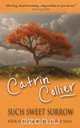 Such Sweet Sorrow, Catrin Collier 