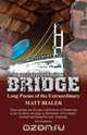 Bridge, Matt Bialer 