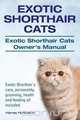Exotic Shorthair Cats. Exotic Shorthair Cats Owner