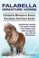 Falabella Miniature Horse. Falabella Miniature horse, Julie Anderson 