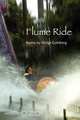 Flume Ride, Midge Goldberg 