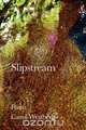 Slipstream, Carol Westberg 