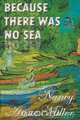 Because There Was No Sea, Nancy Anne Miller 