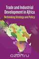 Trade and Industrial Development in Africa. Rethinking Strategy and Policy, 