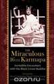 The Miraculous 16th Karmapa, 