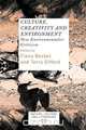 Culture, Creativity and Environment, 