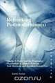 Rethinking Postmodernism(s), Katrin Amian 