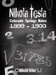 Nikola Tesla, Nikola Tesla 