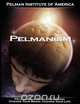 Pelmanism, a Whole New Mind, Institute O Pelman Institute of America 