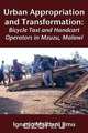 Urban Appropriation and Transformation, Ignasio Malizani Jimu 
