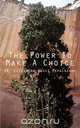 The Power to Make a Choice, Elizabeth Ngozi Okpalaenwe 