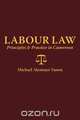 Labour Law, Michael A. Yanou 