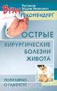 Острые хирургические болезни живота, В. И. Русаков 