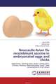 Newcastle-Avian flu recombinant vaccine in embryonated eggs and chicks, Wael Elfeil,Wenyu Han and Reham Abouelmaatti 