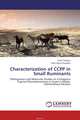 Characterization of CCPP in Small Ruminants, Umer Sadique and Zafar Iqbal Chaudhry 