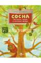 Сосна. Про мачты, янтарь и сосновые яблоки, Максимова Елена 
