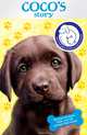 Battersea Dogs & Cats Home: Coco