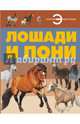 Лошади и пони, Ламбина Анна 
