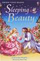 Sleeping Beauty, 