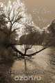 Eel River Rising, Laura Reasoner Jones 