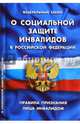 Федеральный закон "О социальной защите инвалидов в Российской Федерации". Правила признания лица инвалидом, 