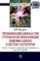 Прономинализация как тип ступенчатой транспозиции языковых единиц в системе частей речи: теория транспозиционной грамматики русского языка: Монография / В.В. Шигуров. - 2-e изд., и, Шигуров В.В. 