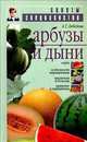 Арбузы и дыни, Лебедева Анастасия Трофимовна 
