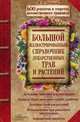 Большой иллюстрированный справочник лекарственных трав и растений. 600 рецептов и секретов потомственного травника, Гречаный Игорь Анатольевич 