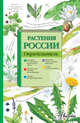 Растения России. Определитель, Пескова Ирина Михайловна 