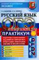 ОГЭ 2016. Русский язык. Практикум. Подготовка к выполнению заданий по синтаксису, пунктуации, орфографии, лексике и фразеологии, Назарова Татьяна Николаевна, Скрипка Елена Николаевна 