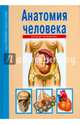 Анатомия человека. Школьный путеводитель, Афонькин Сергей Юрьевич 