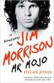 Mr Mojo: A Biography of Jim Morrison, Jones Dylan 