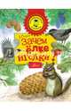 Зачем ёлке иголки?, Смирнов Алексей Всеволодович 