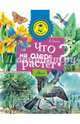 Что на озере растет?, Онегов Анатолий 