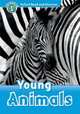 Young Animals, Bladon Rachel 