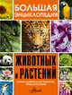 Большая энциклопедия животных и растений (комплект из 3 книг) (количество томов: 3), 