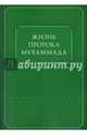 Жизнь пророка Мухаммада, 