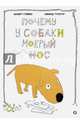 Почему у собаки мокрый нос, Стивен Кеннет 