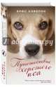 Путешествие хорошего пса, Кэмерон Брюс 