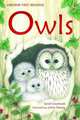 Owls, Courtauld Sarah 
