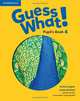 Guess What! Pupil's Book 4, Reed Susannah 