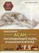 Анатомия асан, раскрывающих бедра, и наклонов вперед. Руководство, Лонг Рэй 