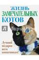 Жизнь замечательных котов, 
