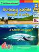 Почему киты живут в воде, а слоны на суше? Энциклопедия, Евстигнеев Андрей, Ященко Анна 